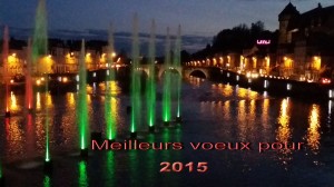 voeux-2015