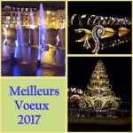 voeux 2017